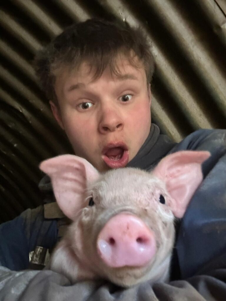 Harry at Eastleach Downs Organic Farm cuddles a piglet